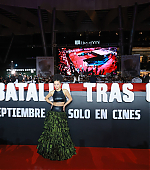 Filename=018.jpg
Filesize=674KiB
Dimensions=3000x2001
Date added=10.11.25 018.jpg