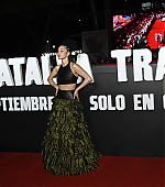 Filename=095.jpg
Filesize=709KiB
Dimensions=3000x1996
Date added=10.11.25 095.jpg