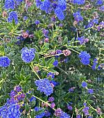 Filename=004.jpg
Filesize=1815KiB
Dimensions=2610x3000
Date added=10.12.25 004.jpg