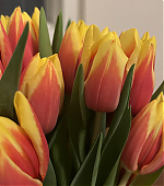 Filename=010.jpg
Filesize=854KiB
Dimensions=3000x3000
Date added=10.12.25 010.jpg