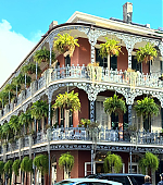 Filename=036.jpg
Filesize=2254KiB
Dimensions=3000x3000
Date added=10.12.25 036.jpg