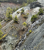 Filename=037.jpg
Filesize=3512KiB
Dimensions=3000x3000
Date added=10.12.25 037.jpg