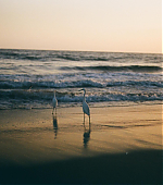 Filename=050.jpg
Filesize=732KiB
Dimensions=3000x3000
Date added=10.12.25 050.jpg